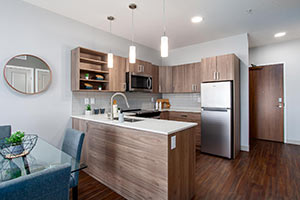 Telford Mews Suite Type B